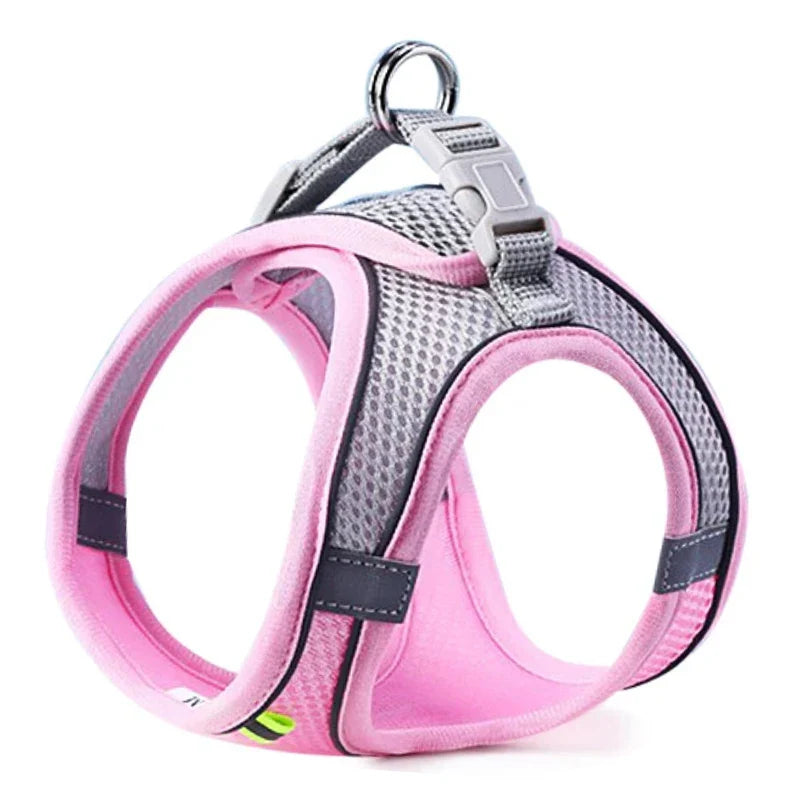 Comfy Control Pet Harness Set