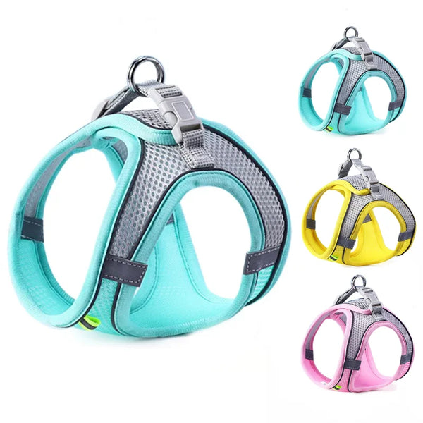Comfy Control Pet Harness Set