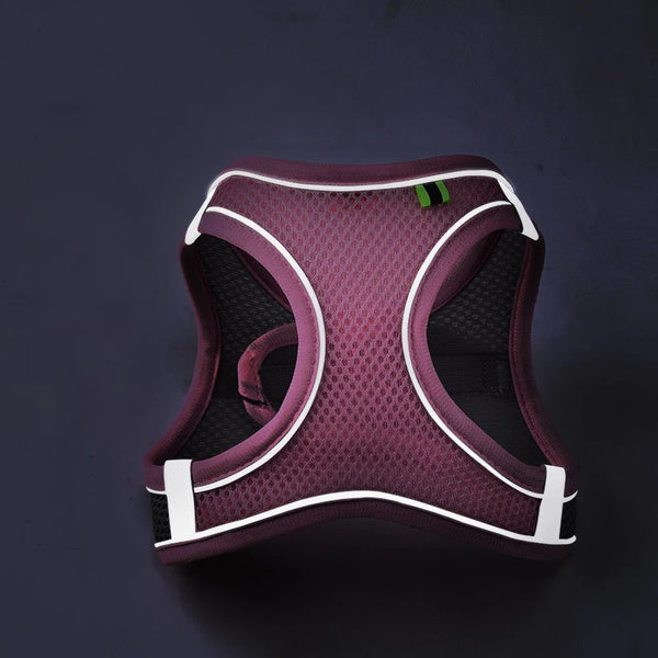 Comfy Control Pet Harness Set